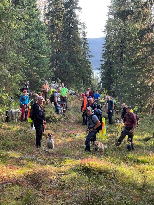 456548599 8317253881669606 7434684060877497376 N