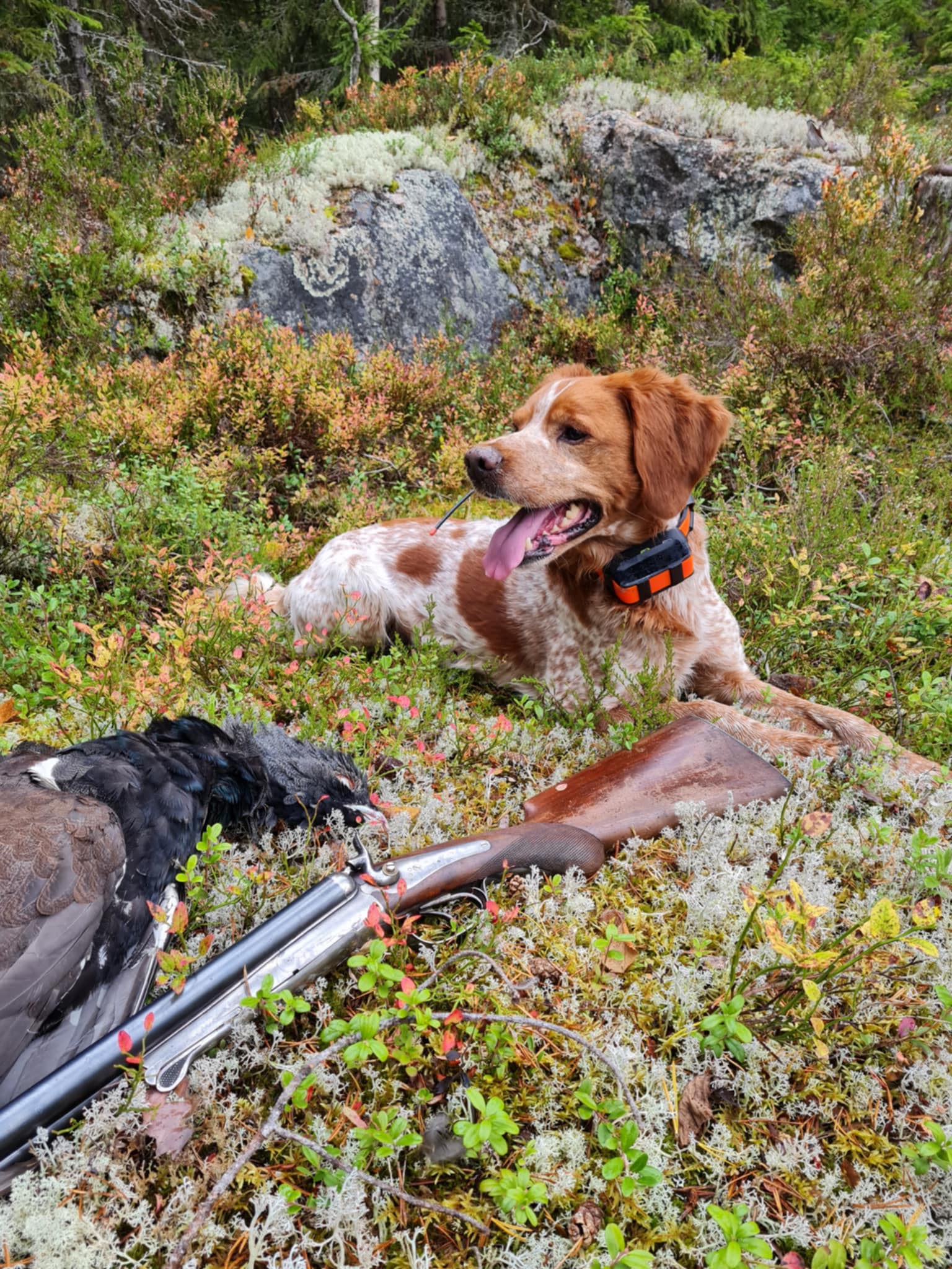 Red Garlic's X Jameson