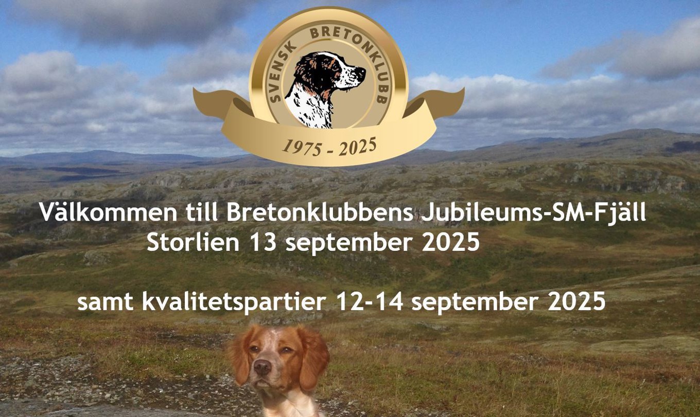 Breton SM Storlien 2025
