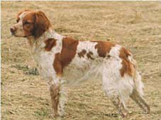 Eirams Yrsa Yrhätta