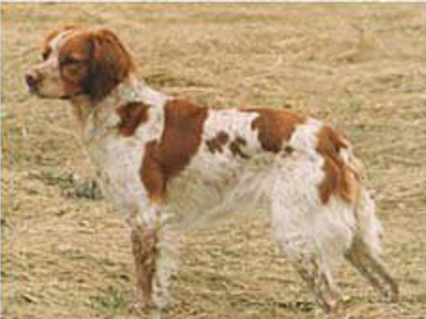 Eirams Yrsa Yrhätta