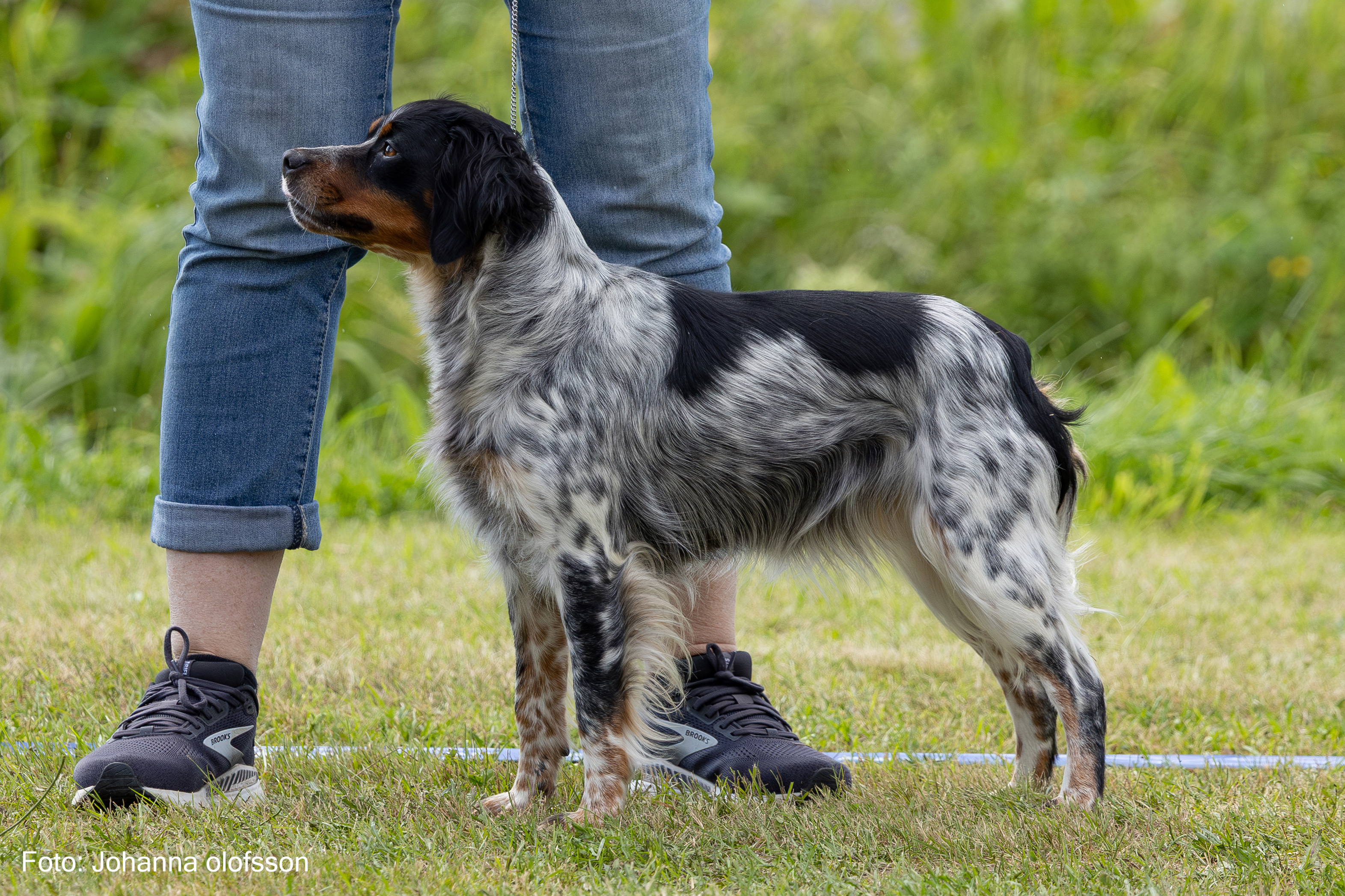 Eirams Halla Tri Äg Marie Nylander2025