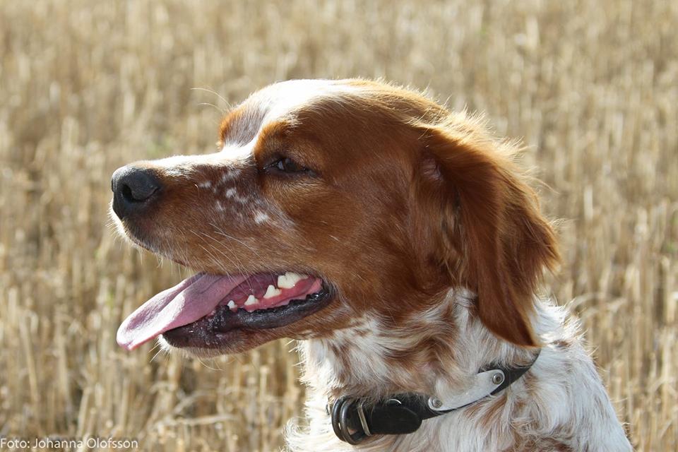 14523013 608974589273455 3041431693142862407 N