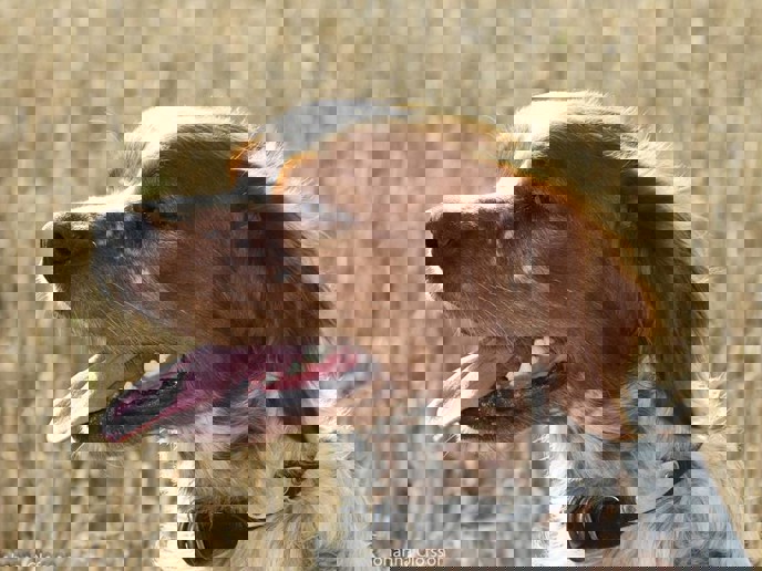 14523013 608974589273455 3041431693142862407 N