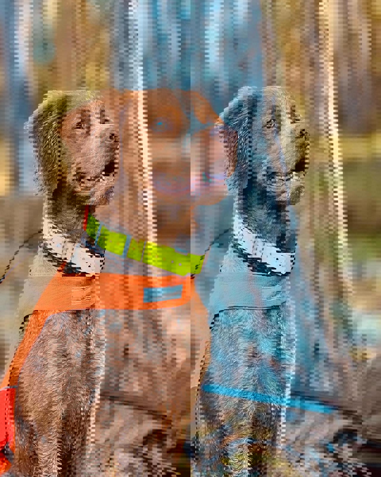 Whatsapp Image 2025 05 16 At 16.18.21