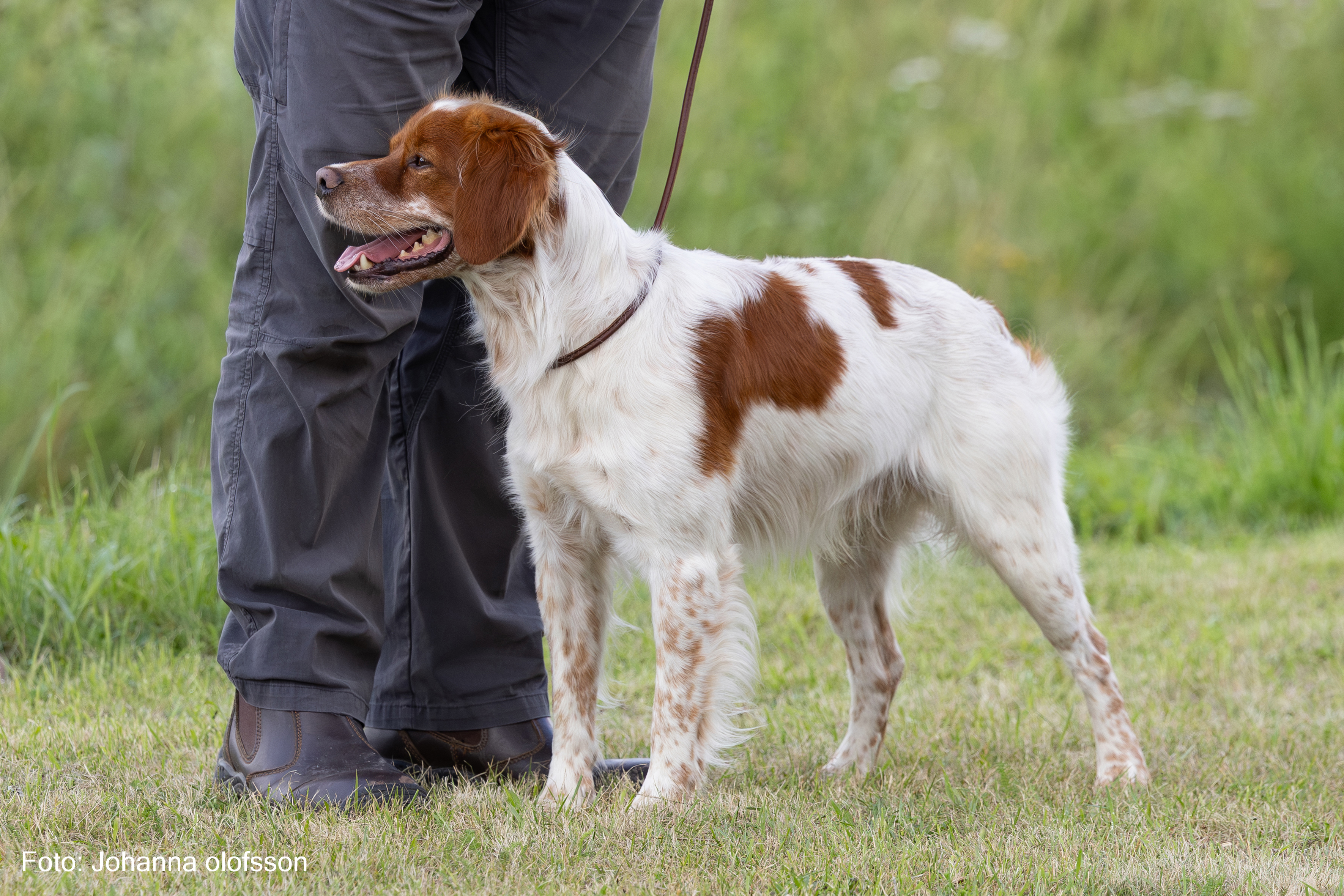 Bandittens Fraekke Batman Äg Allan Hansen2025