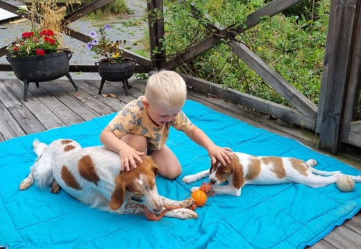 94Dcb645 8D1e 4706 A20b Cc49dbbfe6e3