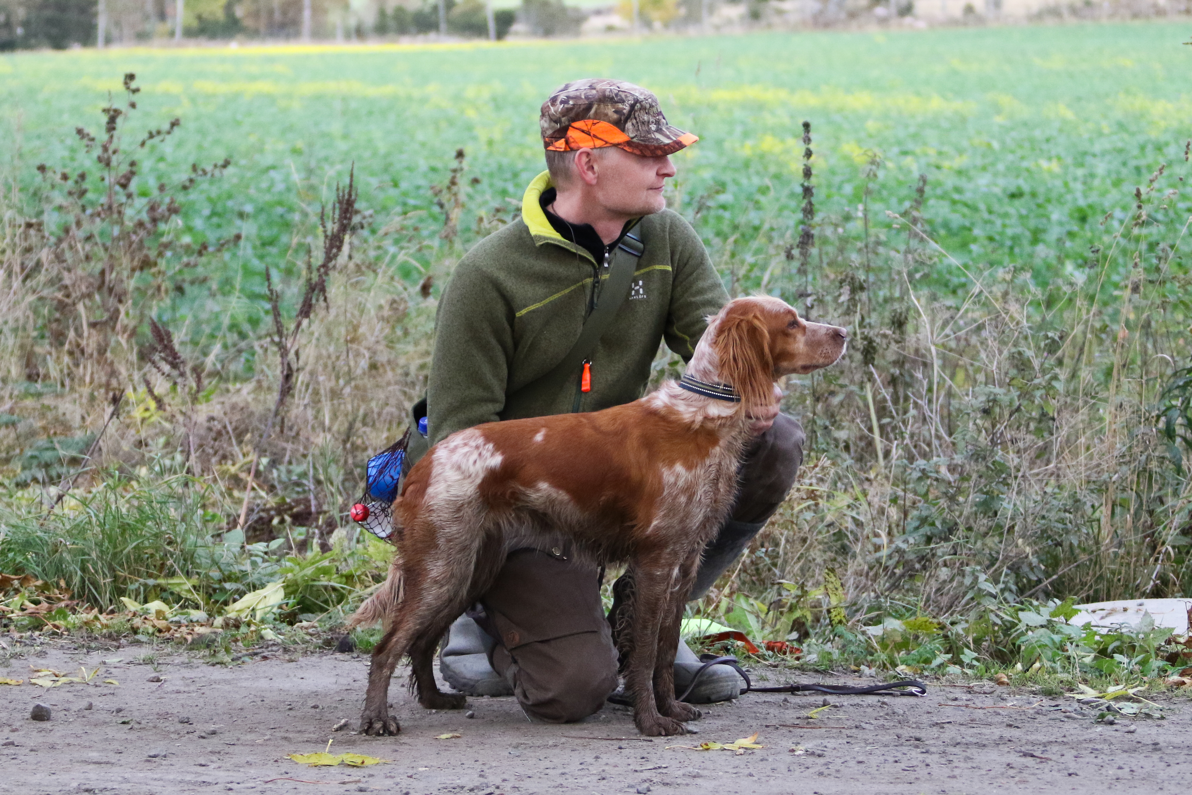 Almkullens Calla2015