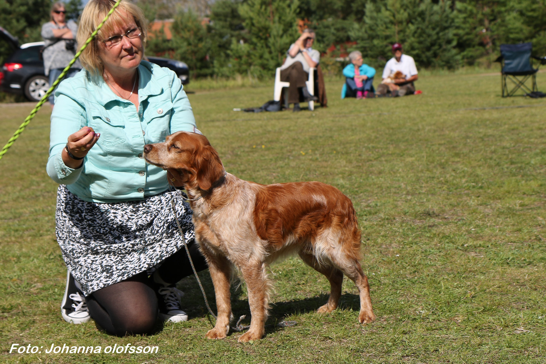 Eirams Tindra Trassel (2)