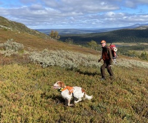 Ulf O Kira 3