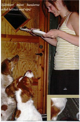 Hundmatningjpg