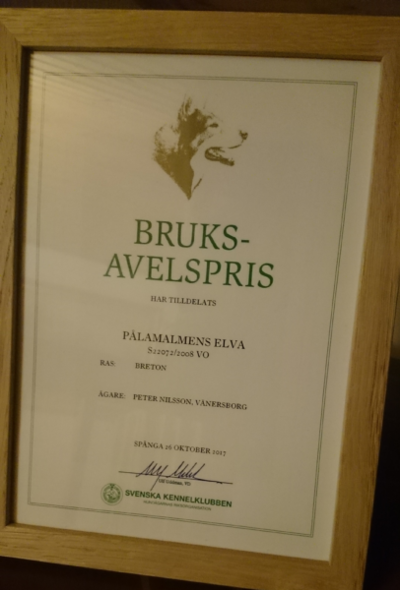 Bruksavelspris