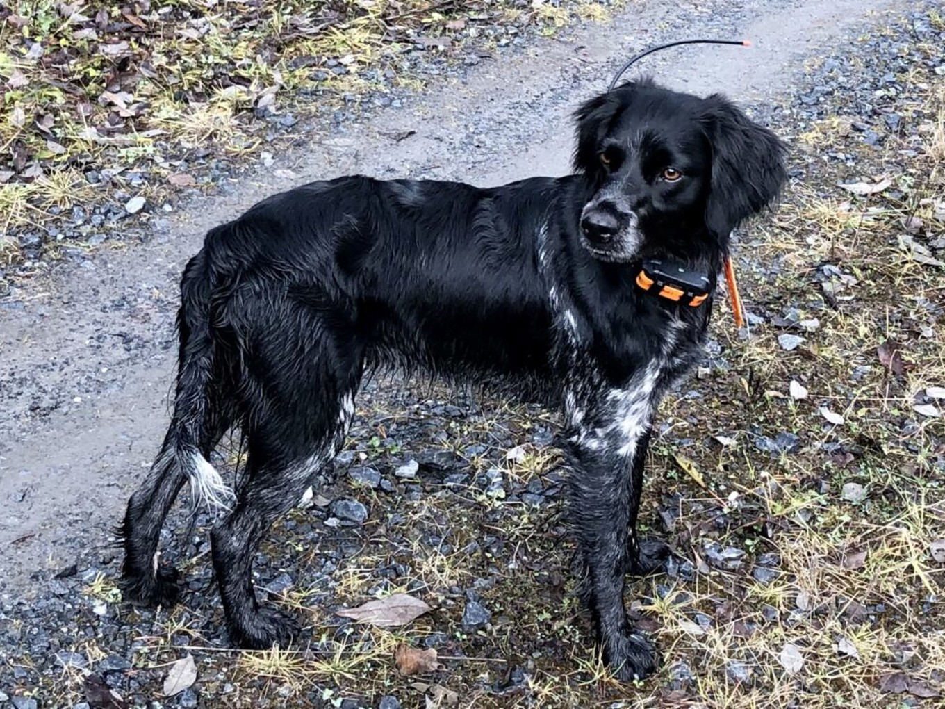 Rickardssons Carinn Oktober 2021 1024X756