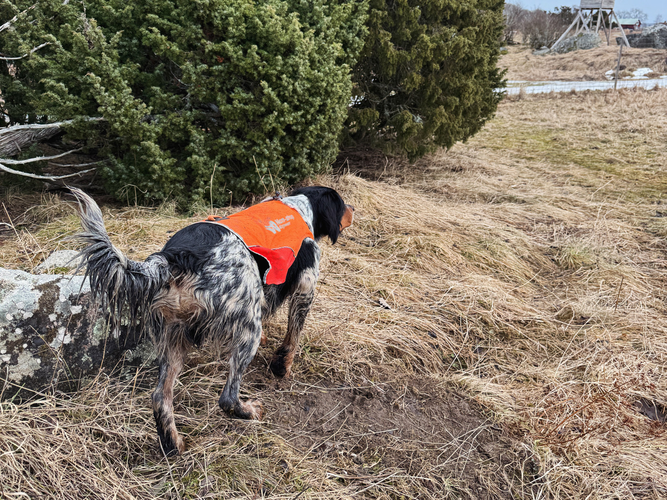 2024 02 24 12.48.18 1