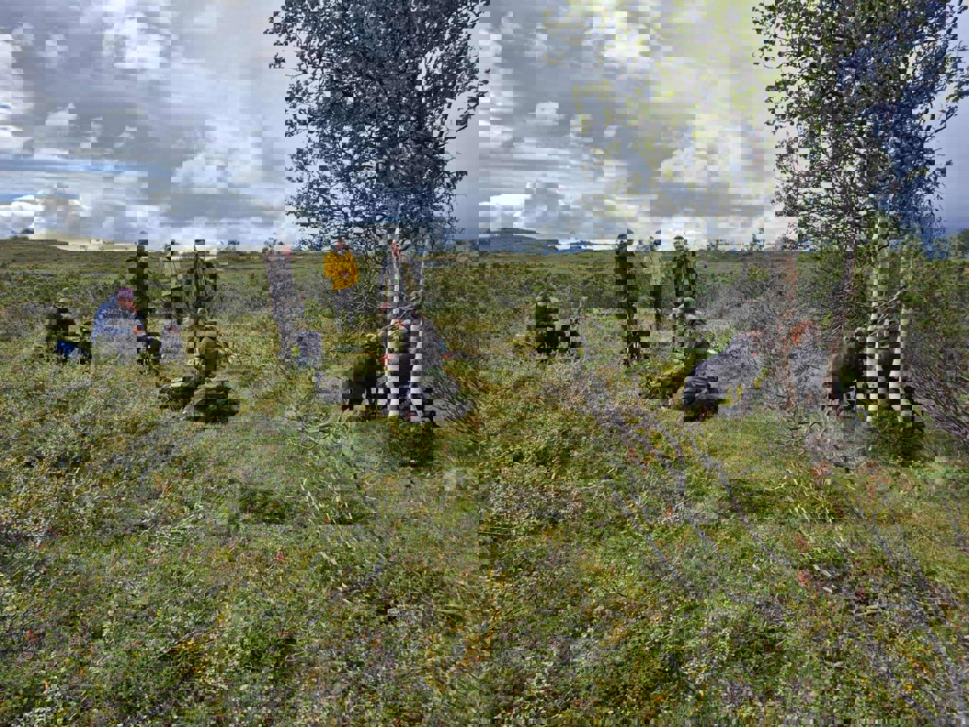 Mittådalen 22 aug
