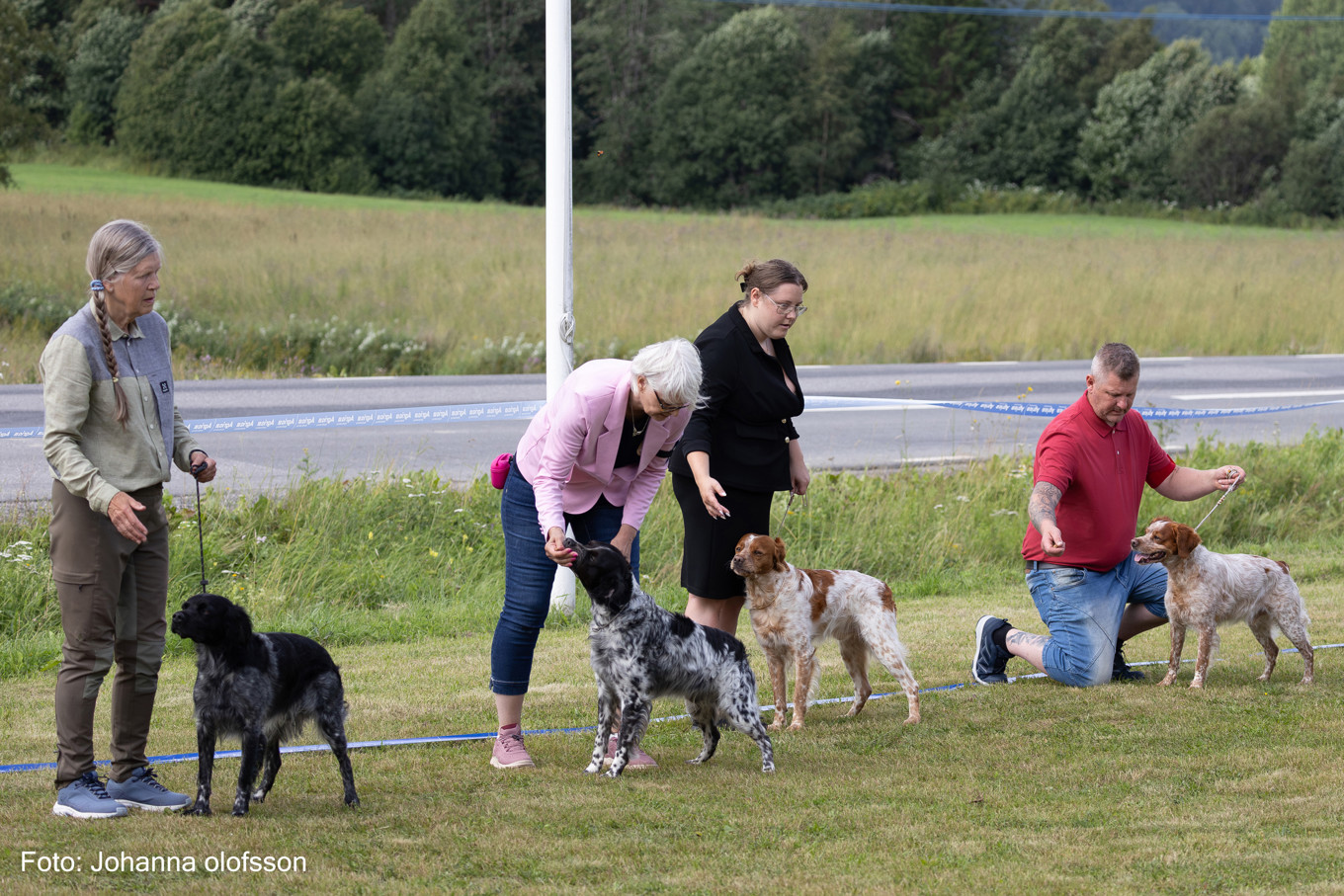 Bästa hanhund 1 Husombergets Macallan Äg Karin Rabe, 2 Almkullens Kenzo äg: Tomas Isakson, 3 Point North Arne Erfarne Äg Emilia Gustafsson 4 Eirams Frekke Freke Äg Annica Hallin