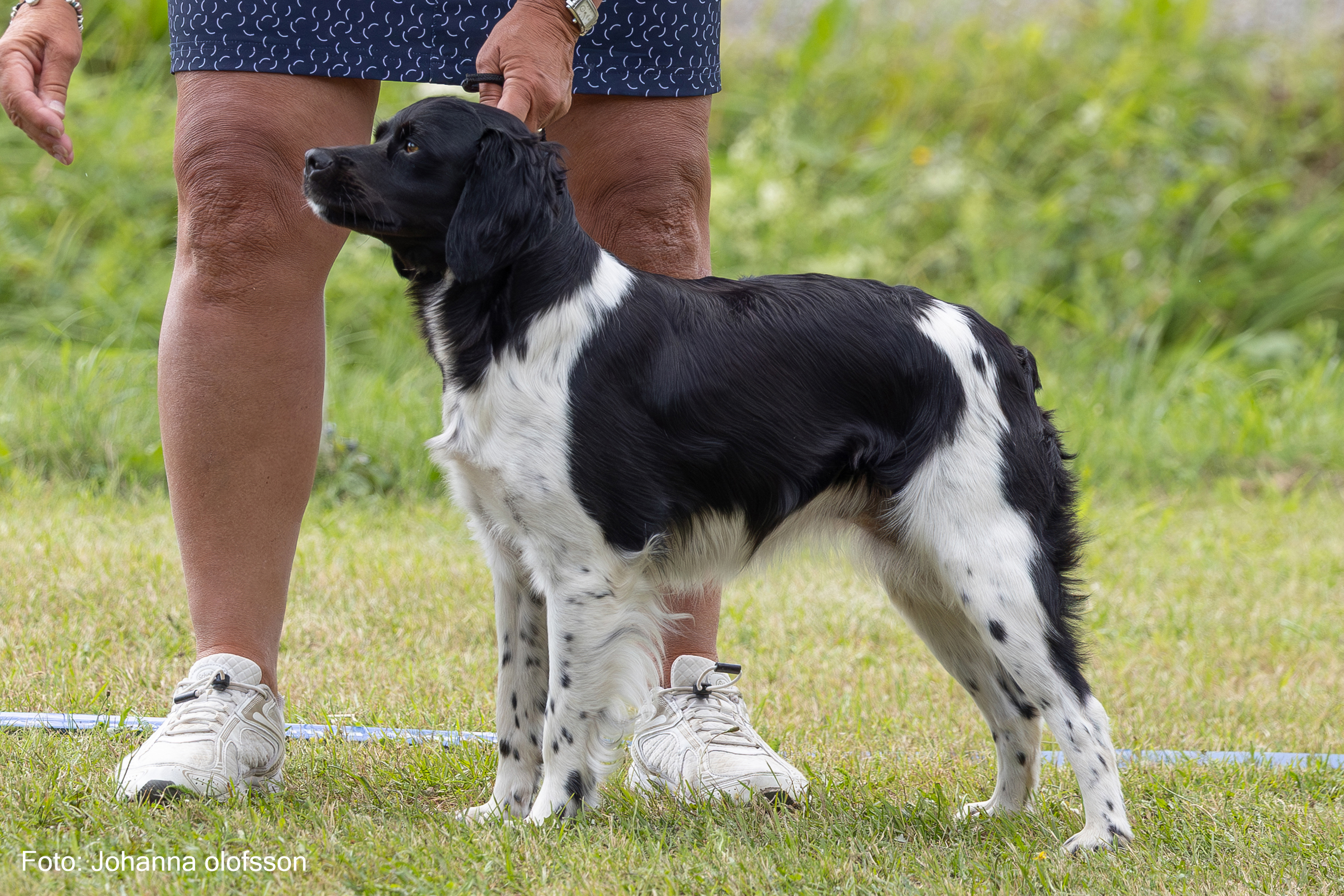 Vanity Lorelei Äg Hallgeir Bergh2025