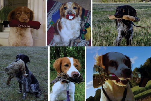 Screenshot 2023 11 11 At 17.48.41