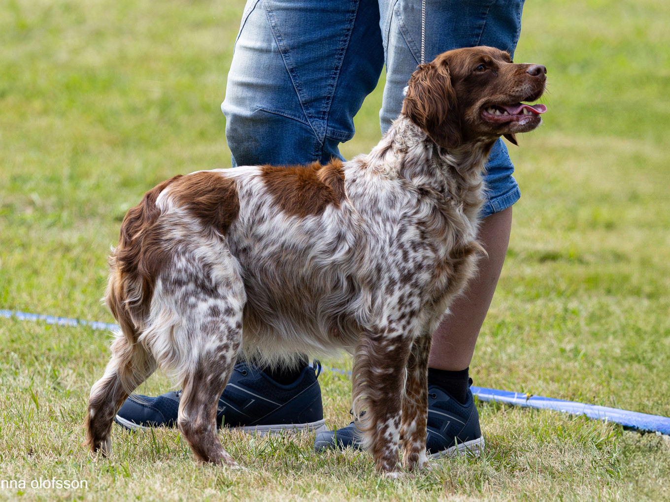 Eirams Heta Herta Äg Marie Nylander2025