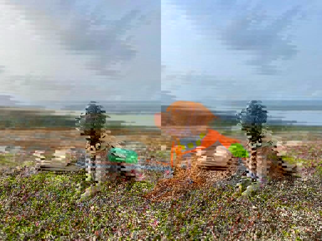 Whatsapp Image 2025 05 16 At 16.26.01