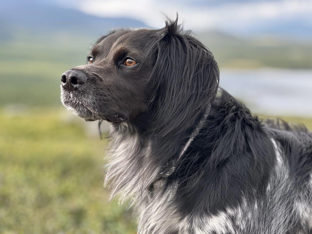 28706Ee4 A329 46A9 90D6 256Fc73e444a