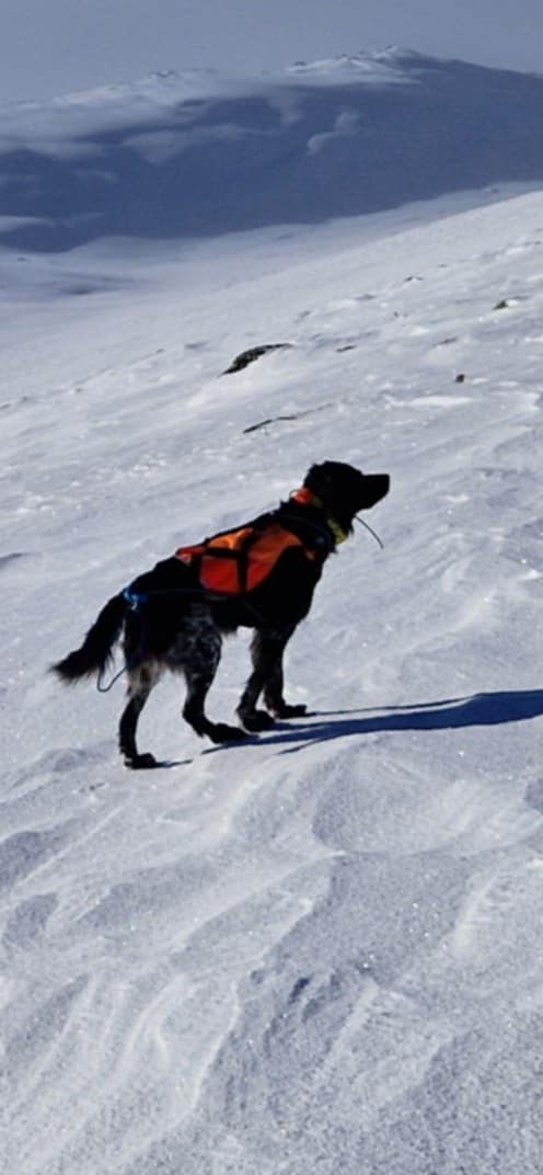 Suhlegan Like A Harricane