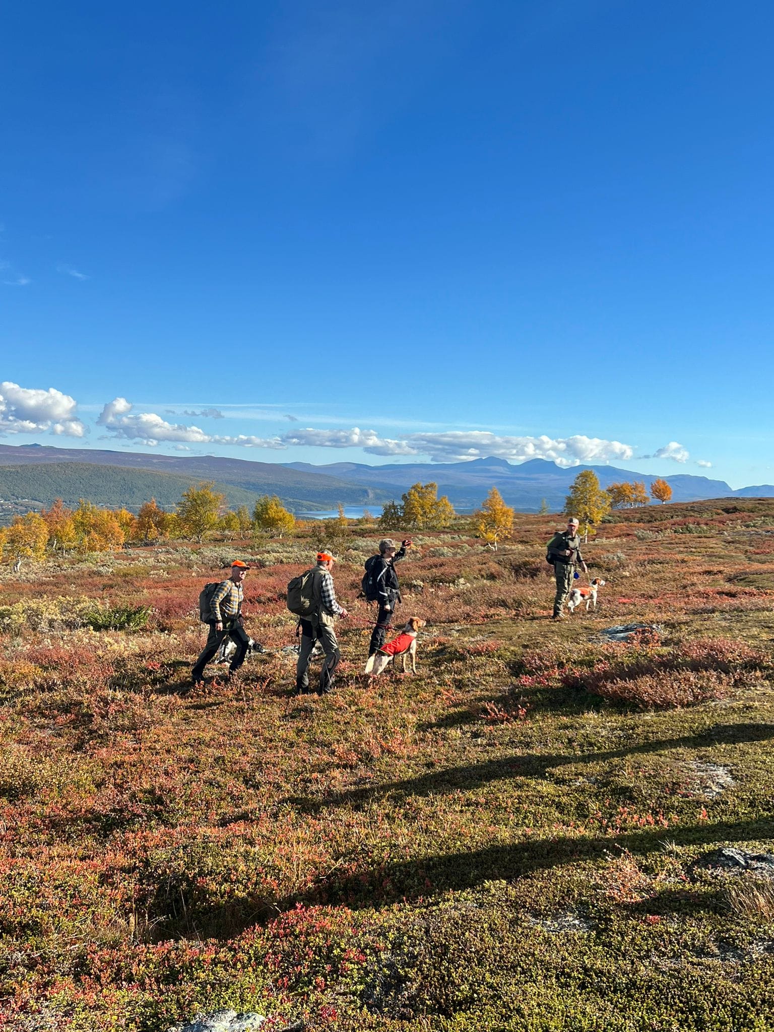 456230426 8317253128336348 813460673030702336 N