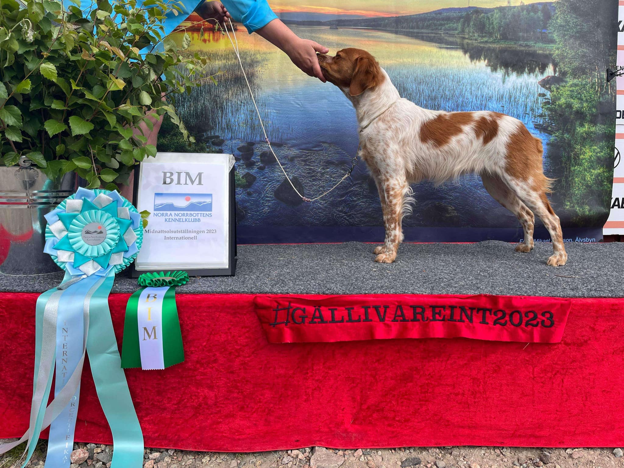 Point North Anne Noggranne