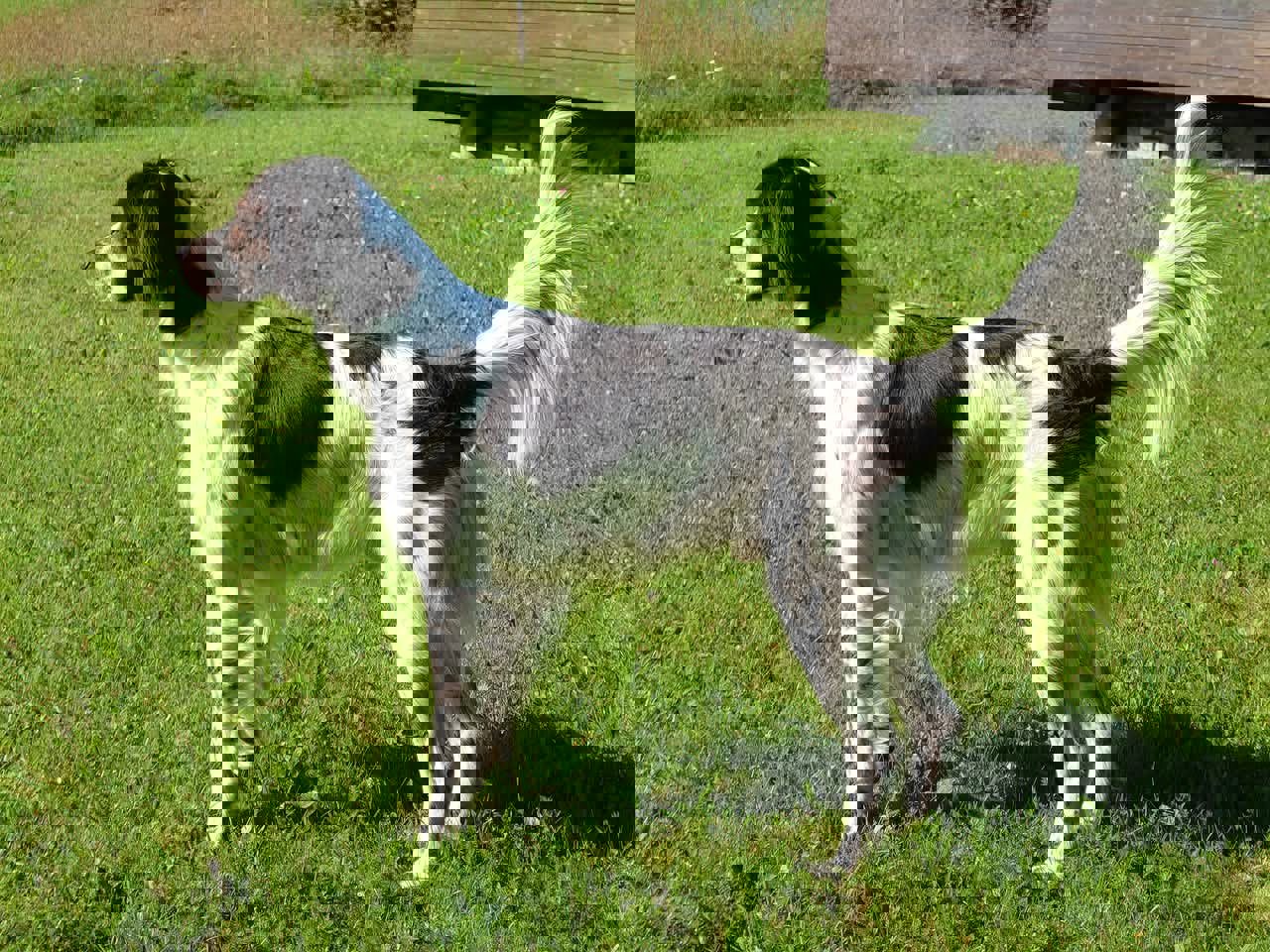 FB IMG 1745321166281