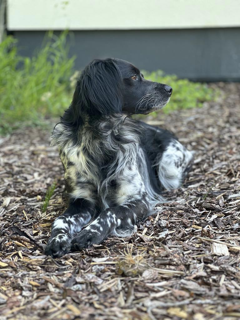 A3499115 28Fb 4Fbc 8A5d 09E4066950e1