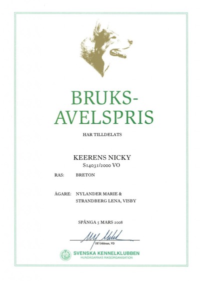 2008 Bruksavelspris 727X1024 Eirams
