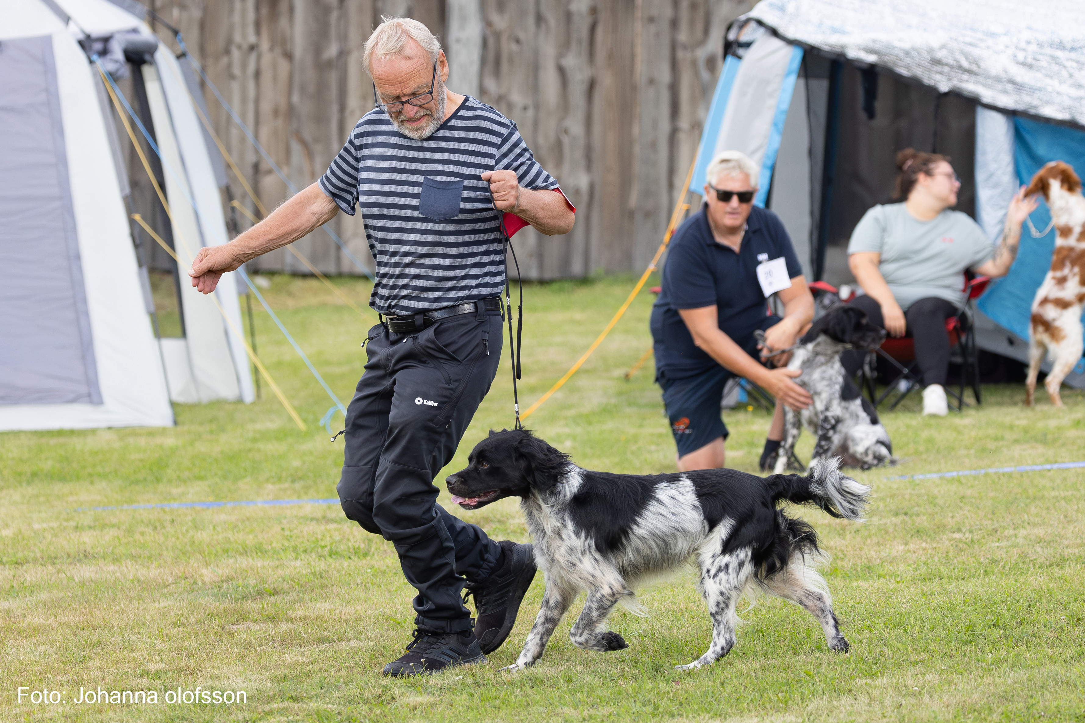 Almkullens Joker2025