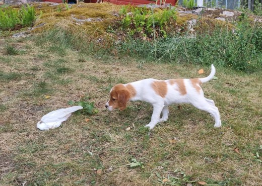 E4e4fcc6 3410 4522 8A73 D3cb20d8bfe6