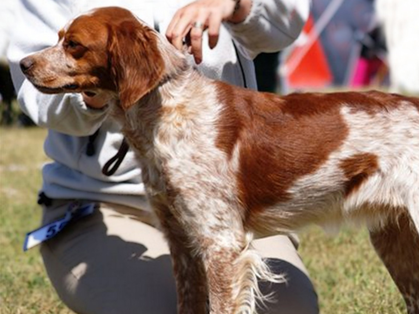 Eirams Raska Rivjärn 1