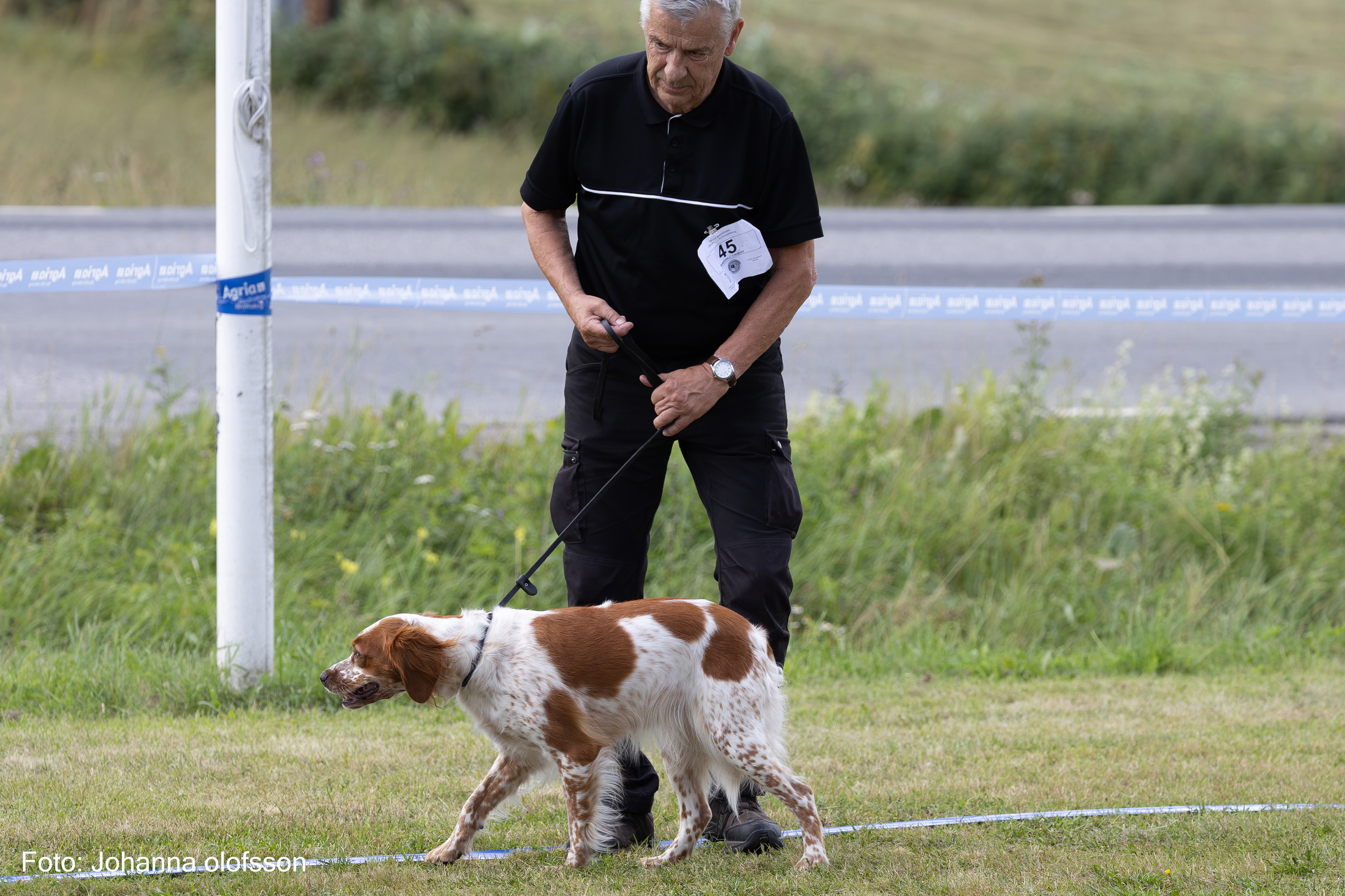 Lapinlunas Daga Äg Ulf Vestlin2025