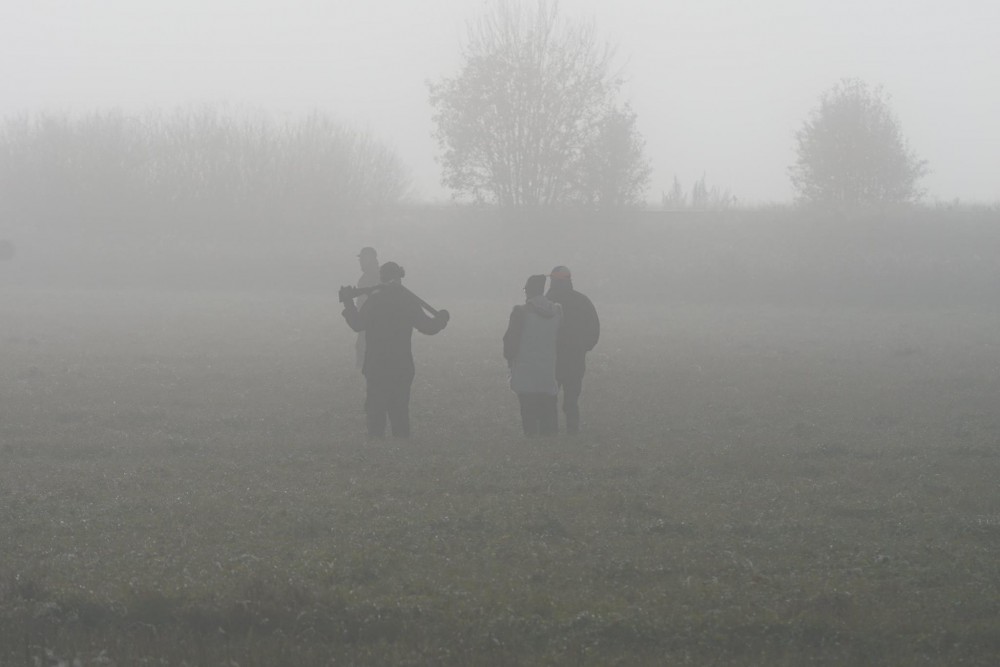 Dimma E1446028308716