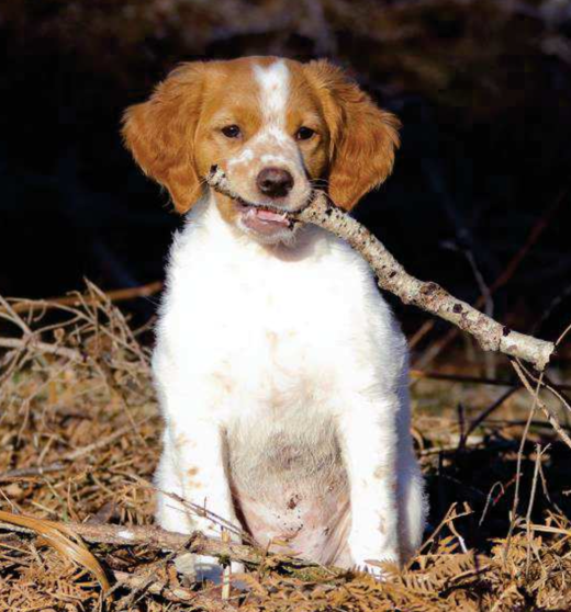 Screenshot 2023 11 11 At 18.03.31