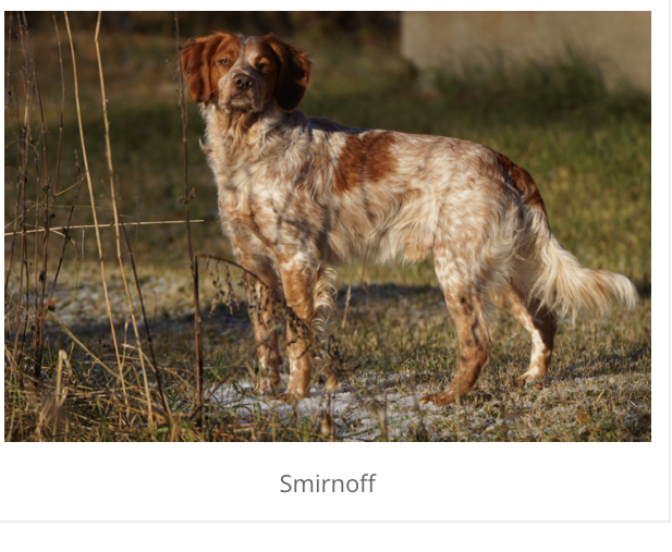 Kruttönna's Smirnoff (2)