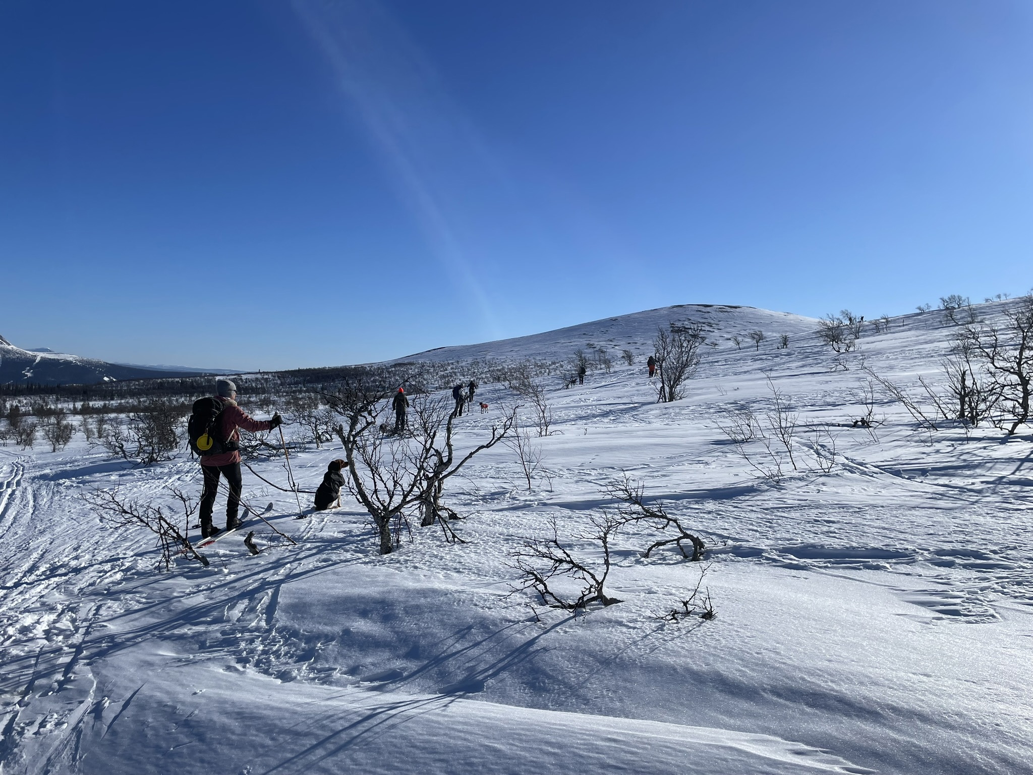 Lofsdalen 26 4