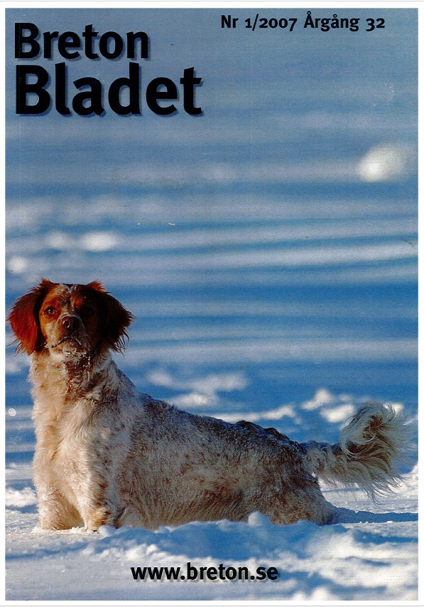 2007 1 Framsida