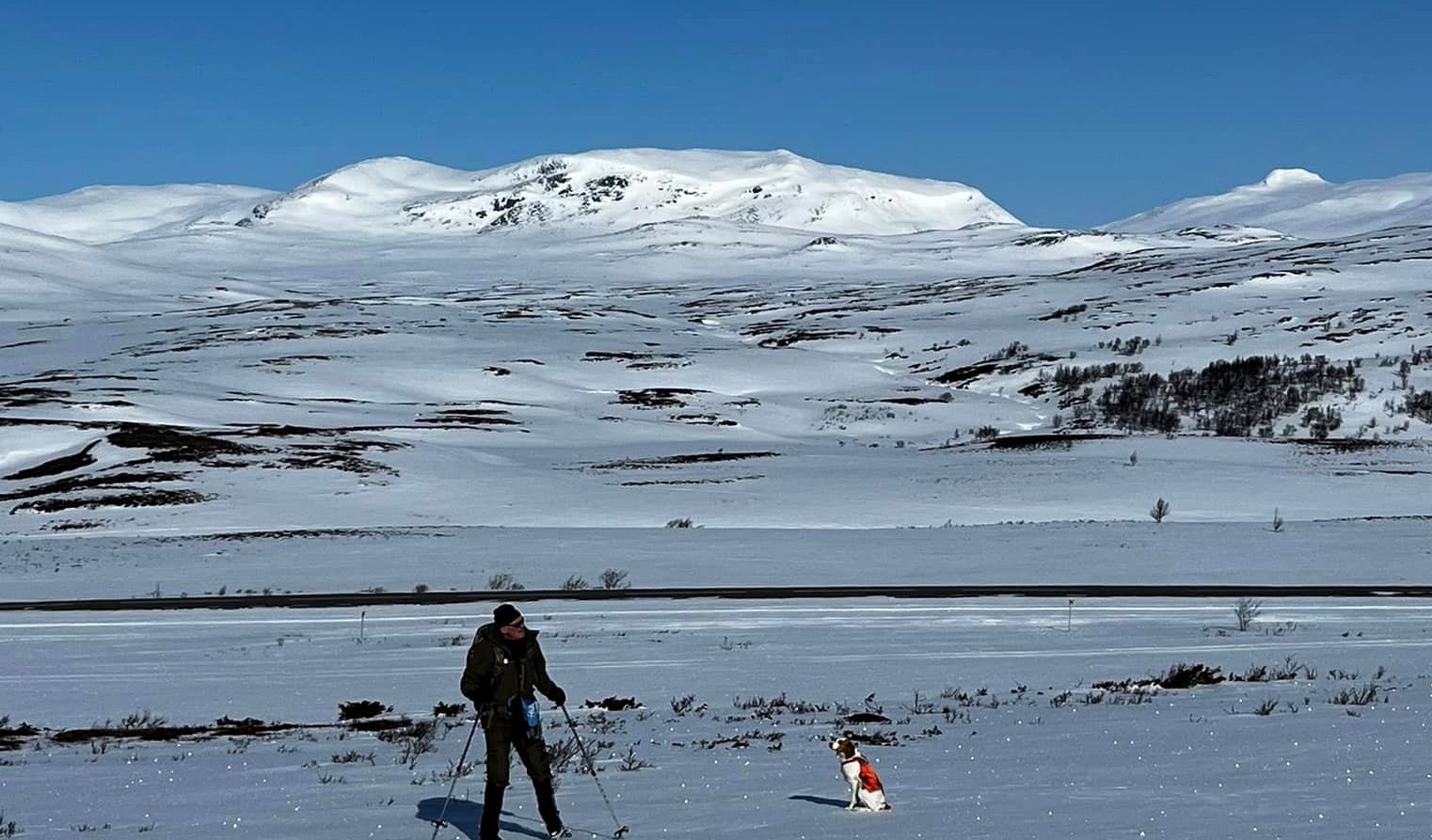 343953320 562834879059380 8817624524326306462 N