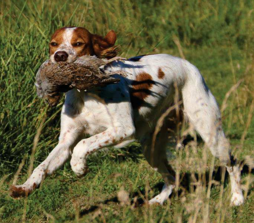 Screenshot 2023 11 11 At 18.11.39