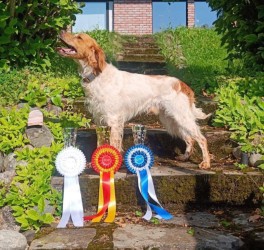 VAN'T PASSANT TAHDOTKO MUT TOSIAAN