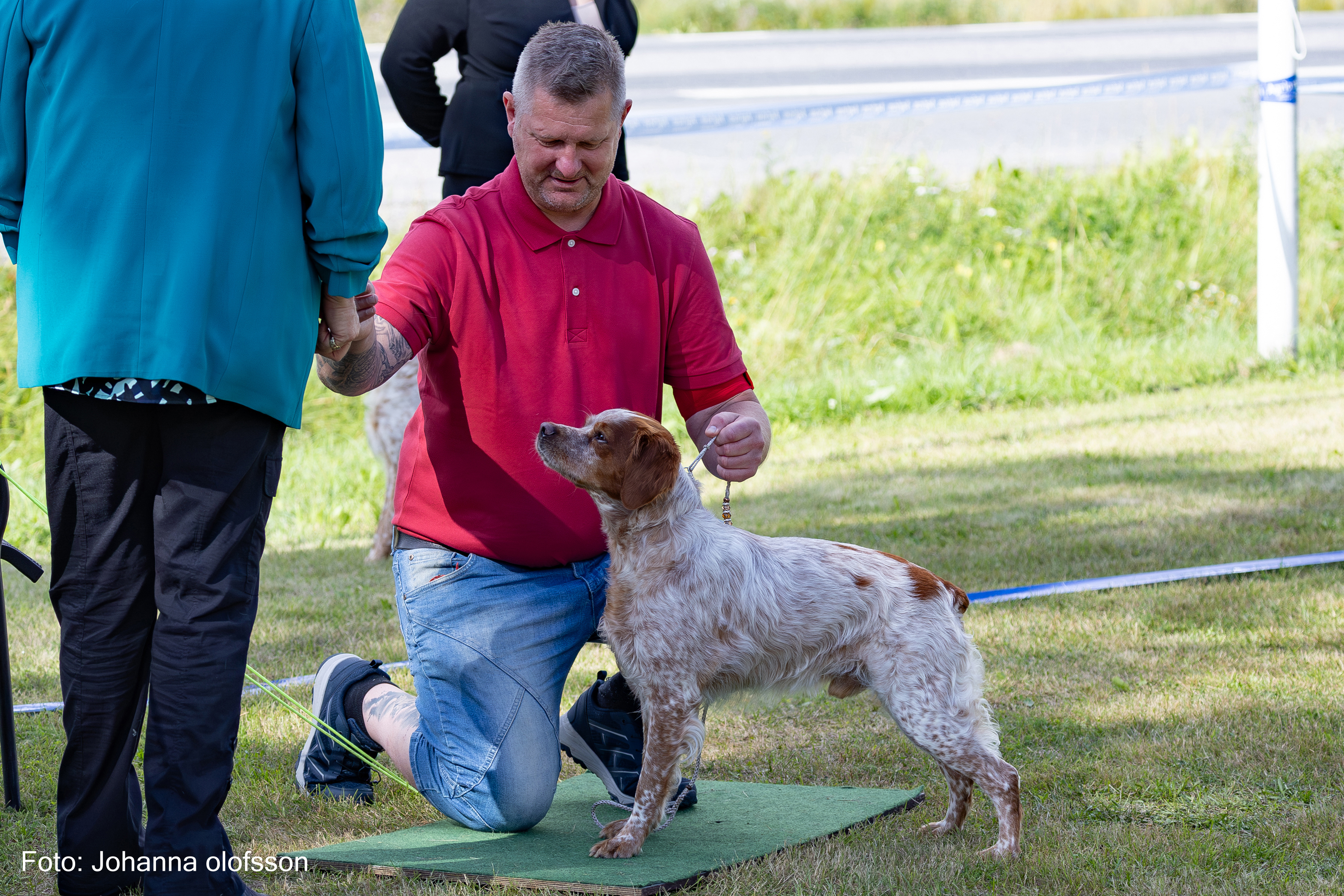 Eirams Frekke Freke Äg Annica Hallin2025 2