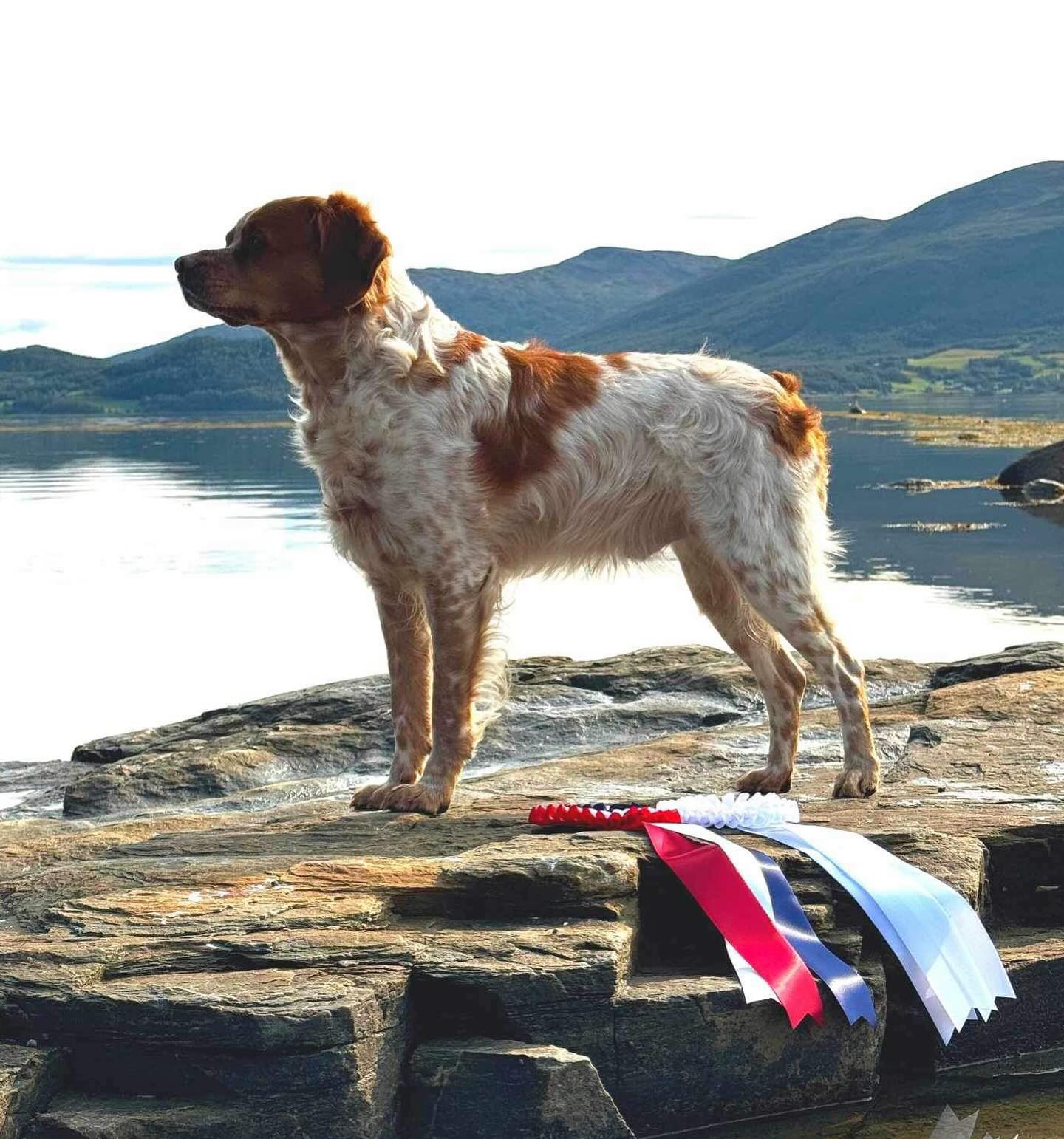 Point North Arne-Noggranne (1)