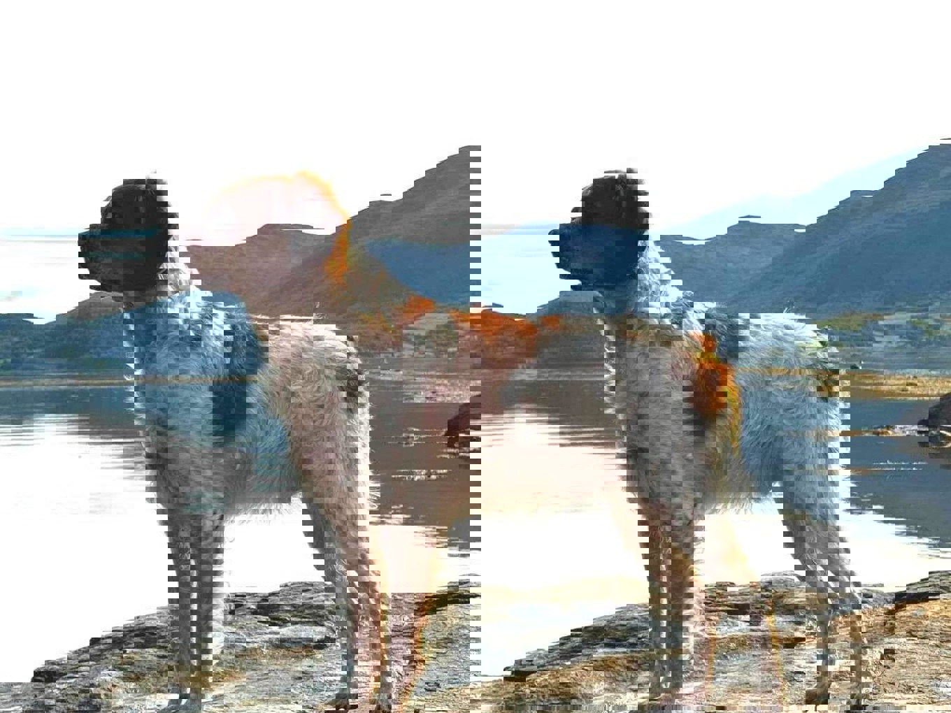 Point North Arne-Noggranne (1)