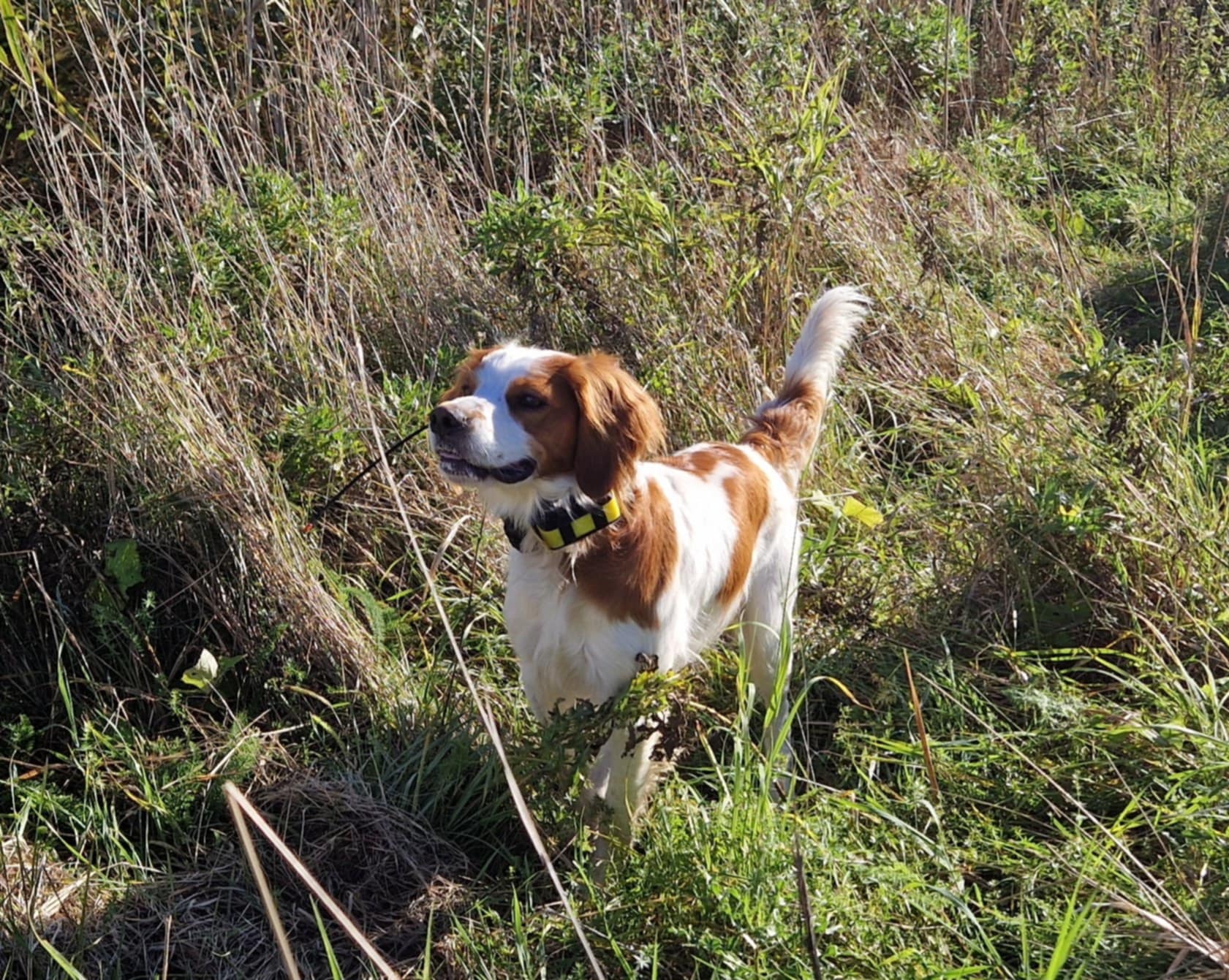 Suhlegan JR Jackpot2