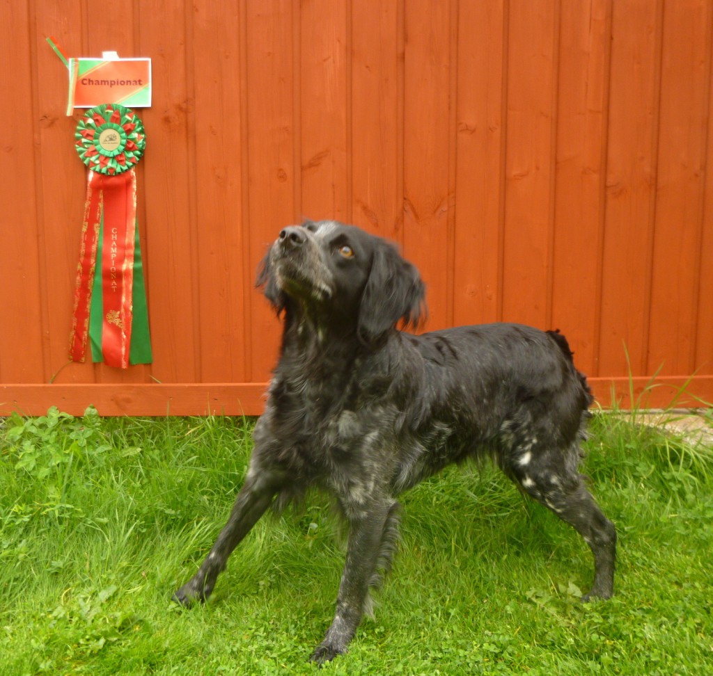 Red Garlic's Korint (2)