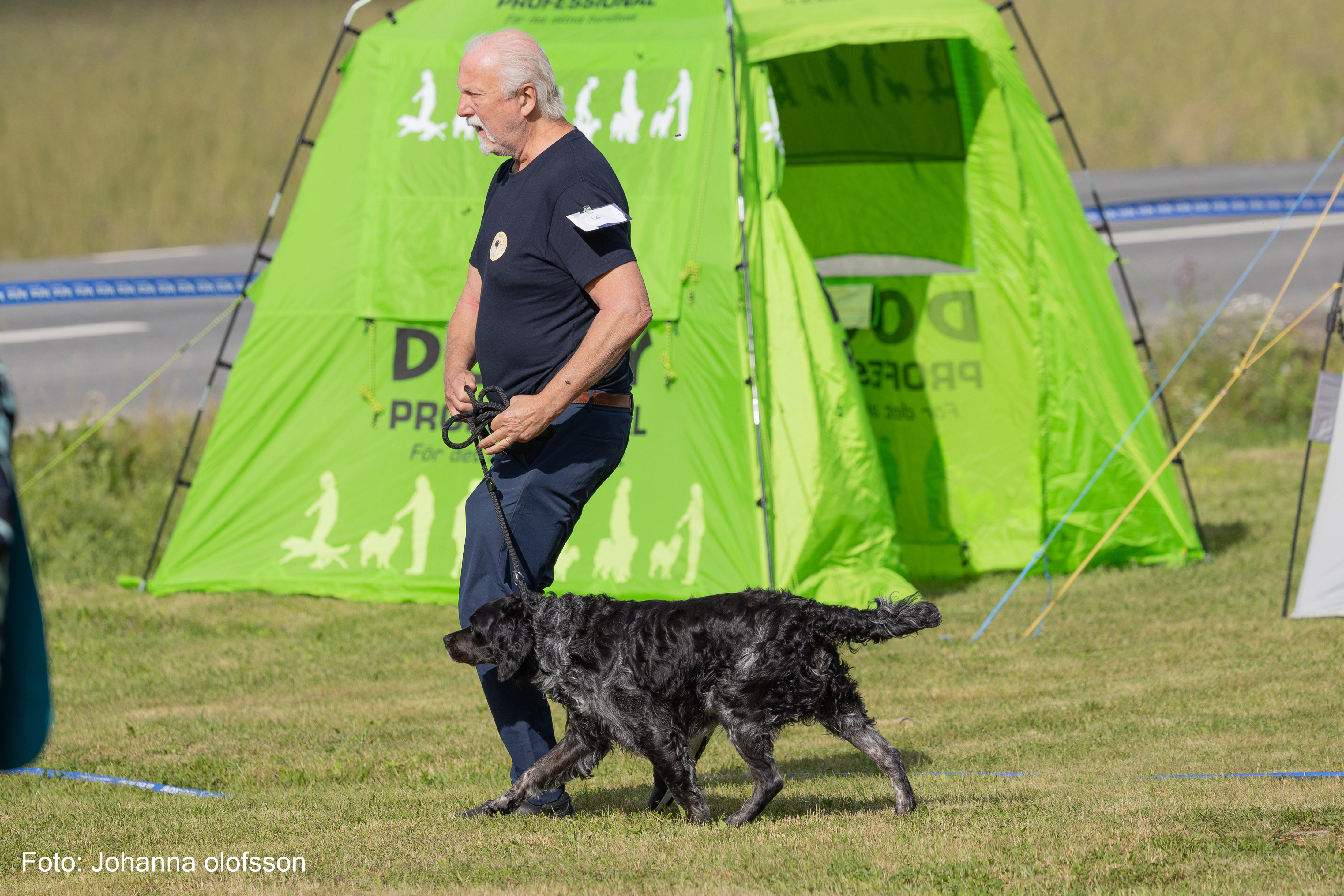Eirams Gustav Gute Äg Thomas Borg2025