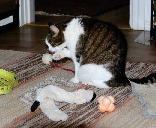 Screenshot 2023 11 11 At 18.06.14